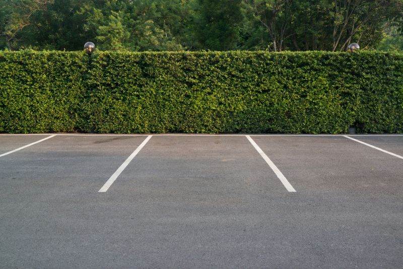 Parking Area Paving